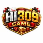 HI309 Game