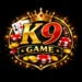 K9 Game