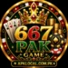 667Pak