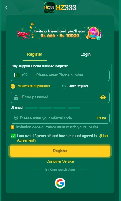 HZ333