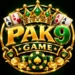 Pak9 Game